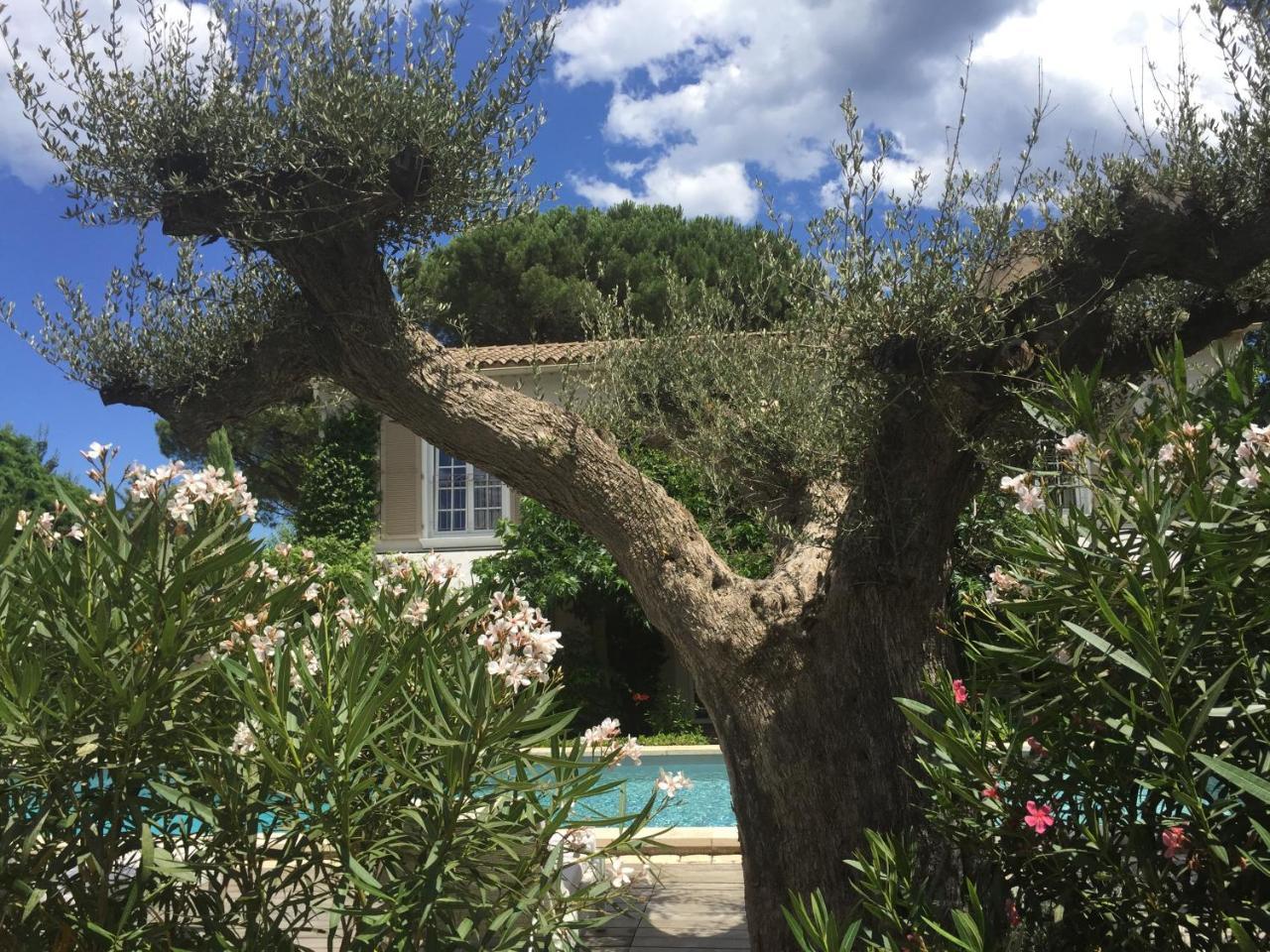 סן טרופז Villa La Begude - Boutique Luxury B&B מראה חיצוני תמונה